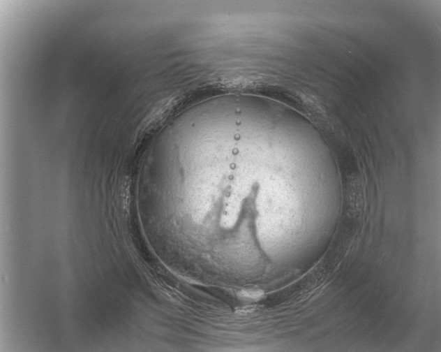 X0000058130495200510072009