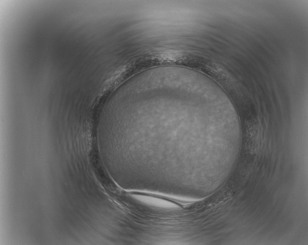 X0000058130496200510072009