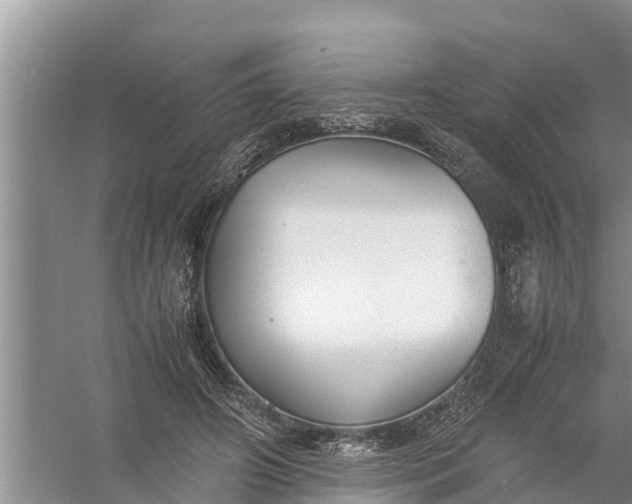 X0000058130498200510072009