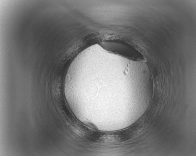 X0000058130499200510072009