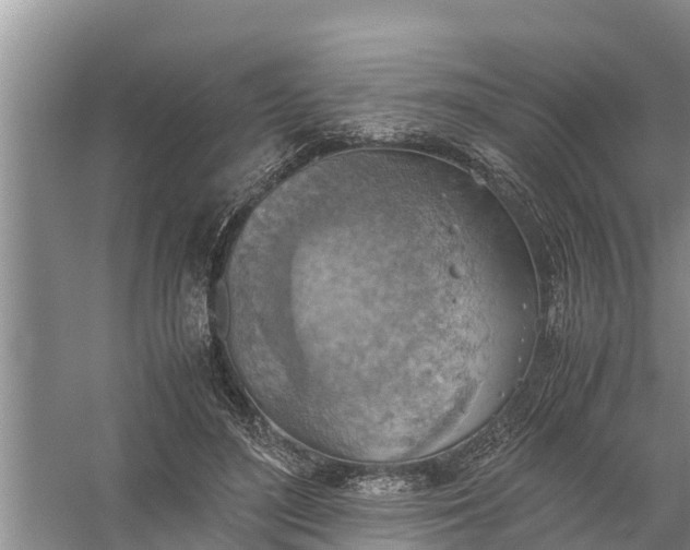 X0000058130500200510072009