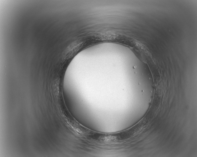 X0000058130501200510072009