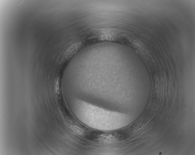 X0000058130502200510072009