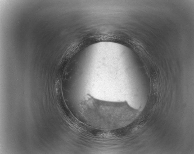 X0000058130503200510072009