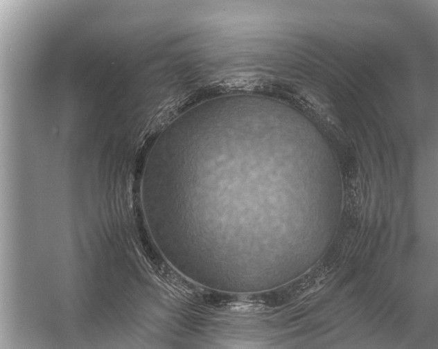 X0000058130504200510072009