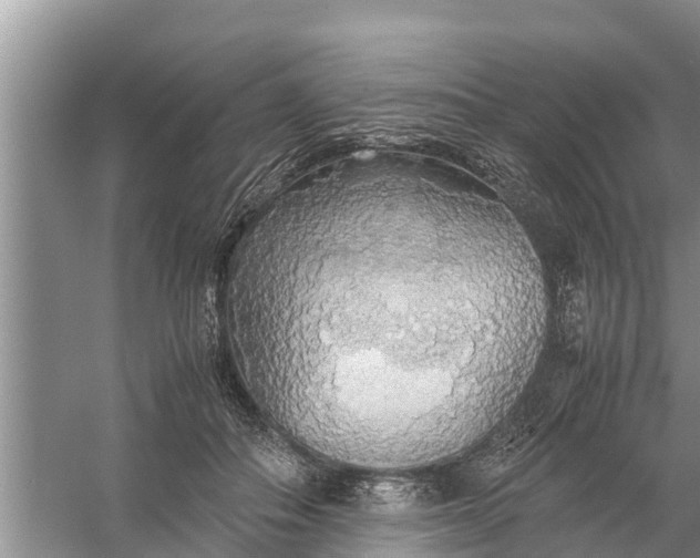 X0000058130506200510072009