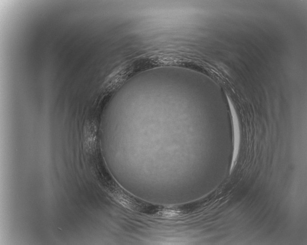 X0000058130507200510072009