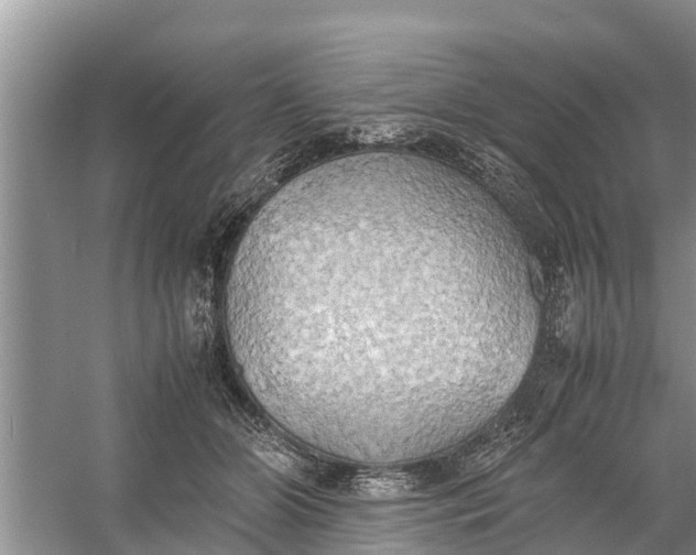 X0000058130510200510072009