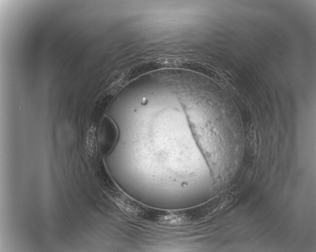 X0000058130511200510072009