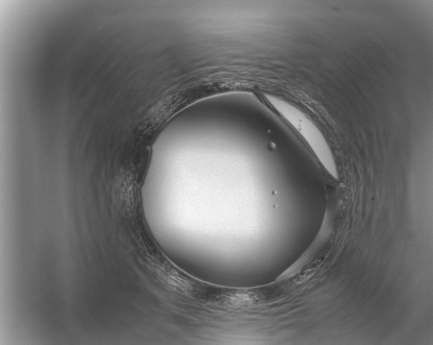 X0000058130513200510072009