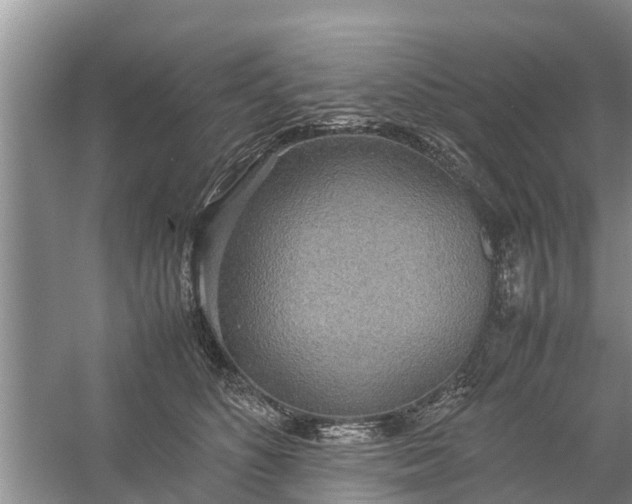 X0000058130516200510072009