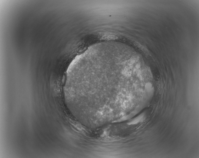 X0000058130517200510072008