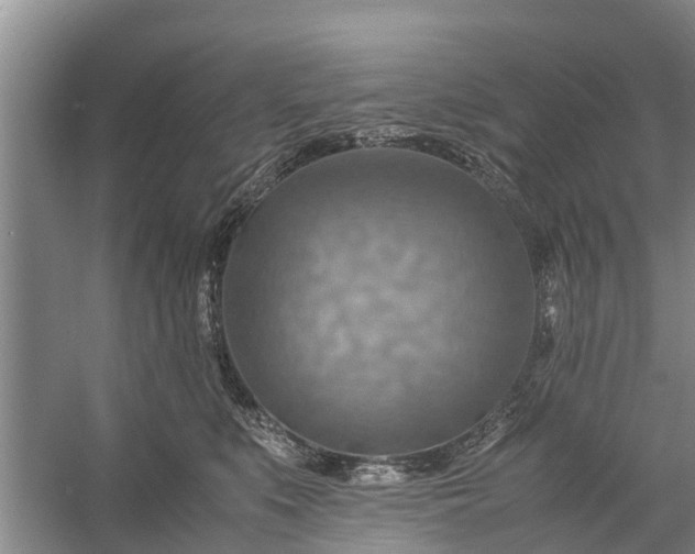 X0000058130519200510072008