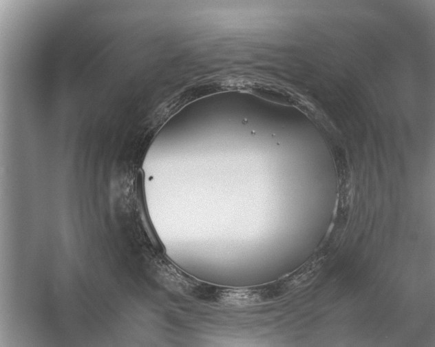 X0000058130521200510072008