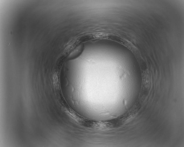 X0000058130523200510072008