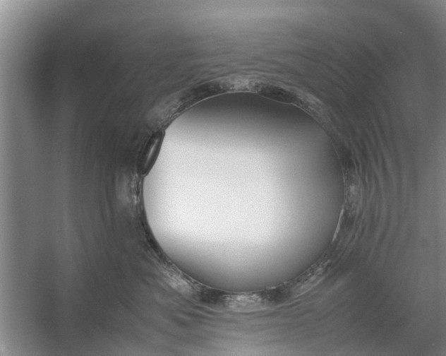 X0000058130525200510072008