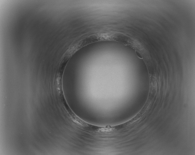 X0000058130526200510072008