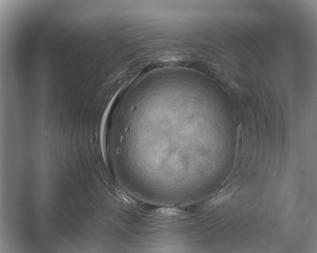 X0000058130528200510072008