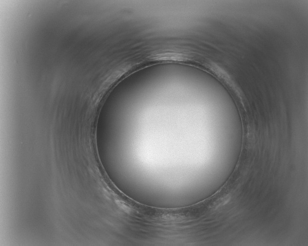 X0000058130529200510072007