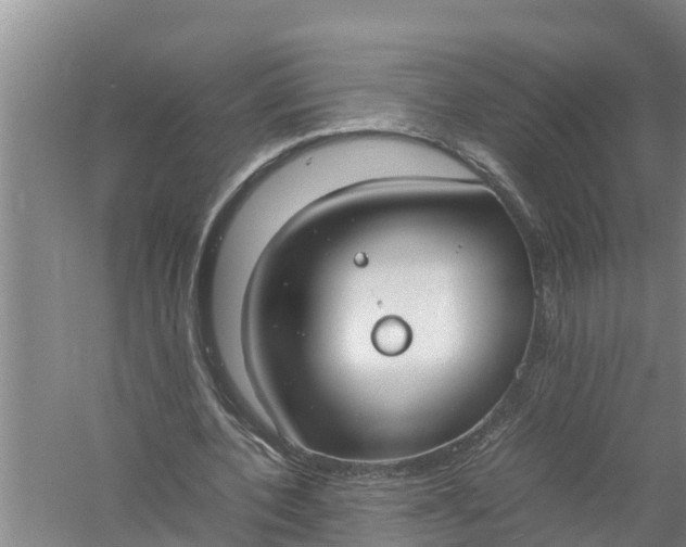 X0000058130532200510072008