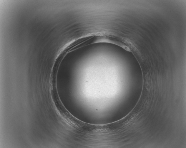 X0000058130536200510072008