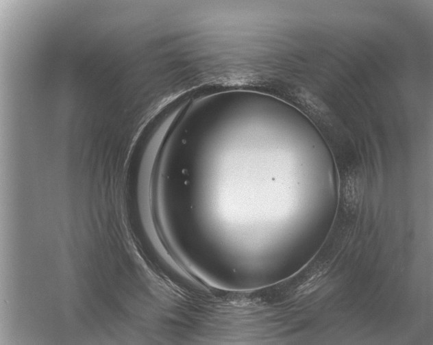 X0000058130540200510072008