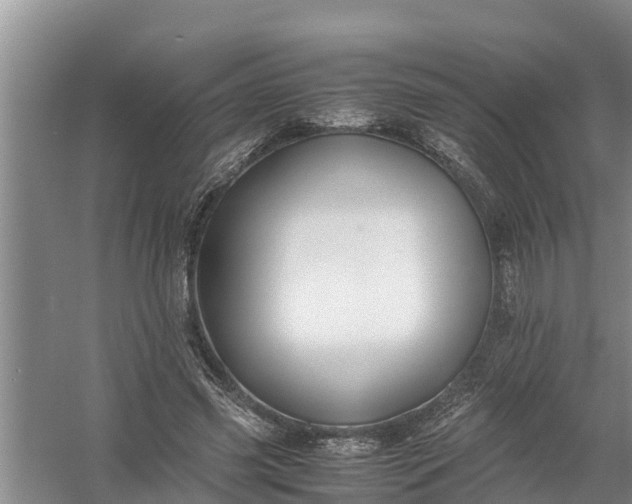 X0000058130541200510072008