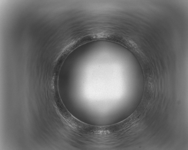 X0000058130543200510072008