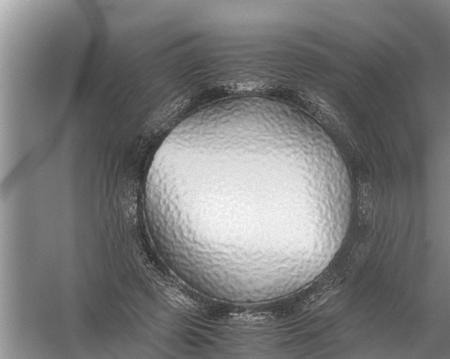 X0000058130545200510072008