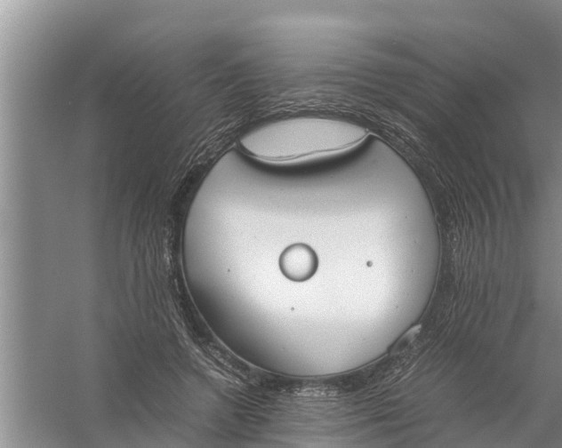 X0000058130546200510072008