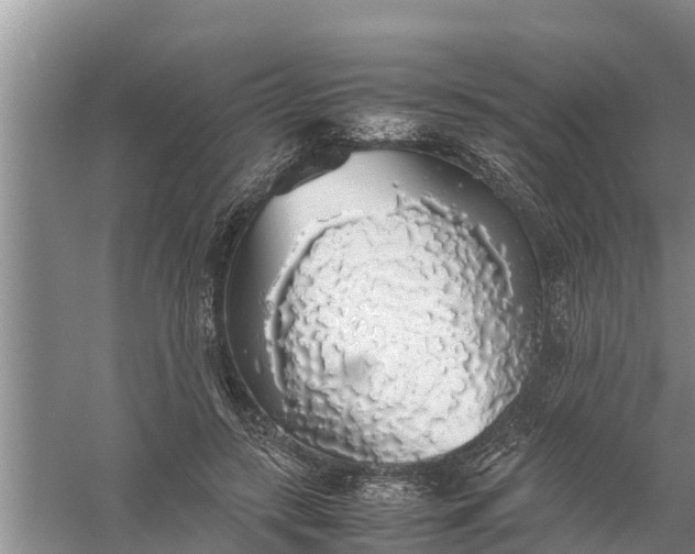 X0000058130547200510072008