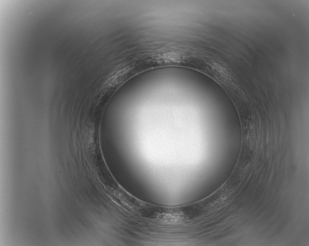 X0000058130548200510072008