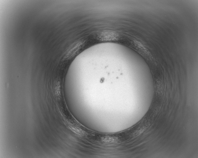 X0000058130549200510072008