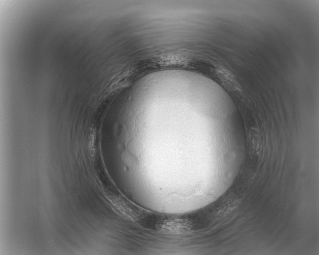 X0000058130550200510072008