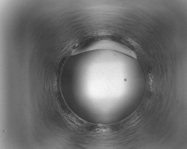 X0000058130552200510072008