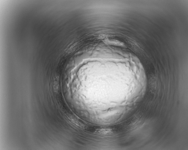 X0000058130554200510072008