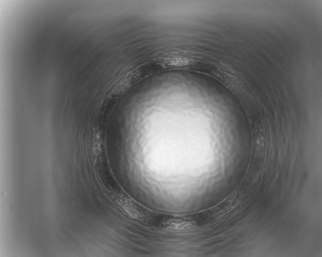 X0000058130555200510072008