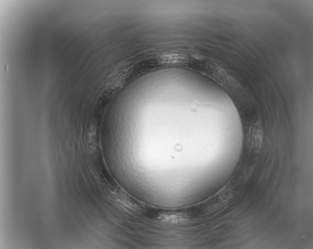 X0000058130557200510072008