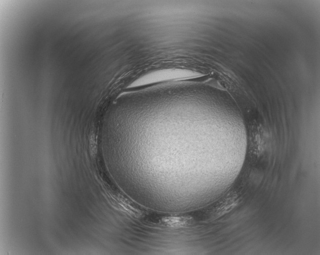 X0000058130558200510072008