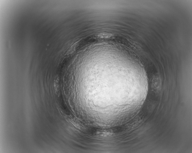 X0000058130559200510072008