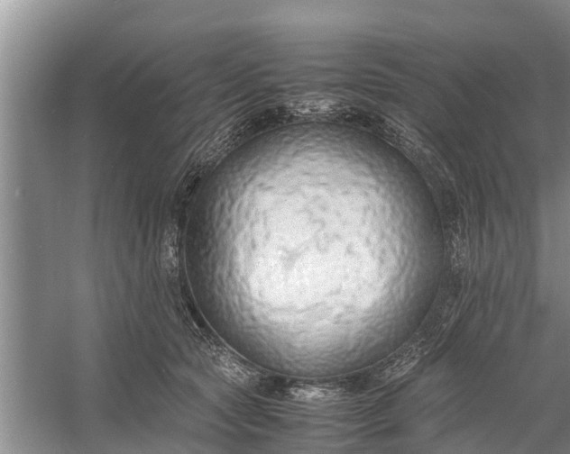 X0000058130561200510072008