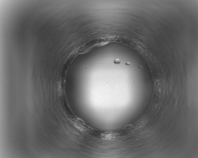 X0000058130564200510072008