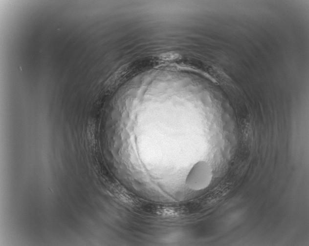 X0000058130565200510072008