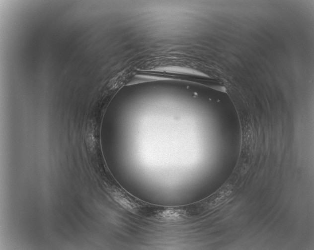 X0000058130566200510072008