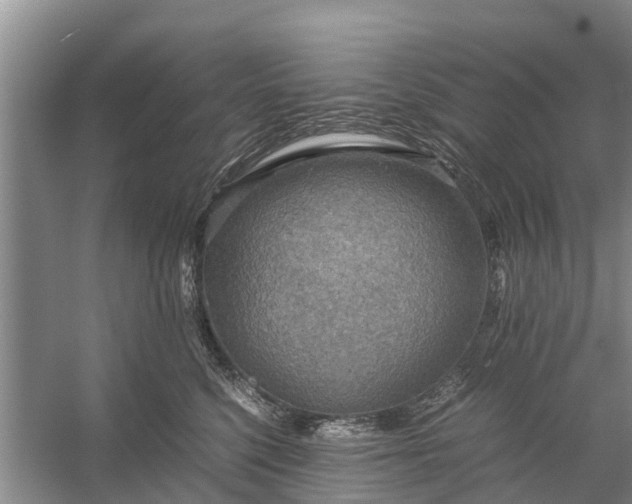 X0000058130568200510072008