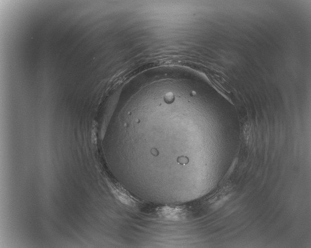 X0000058130570200510072008