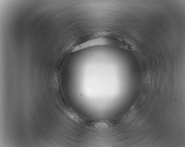 X0000058130572200510072008