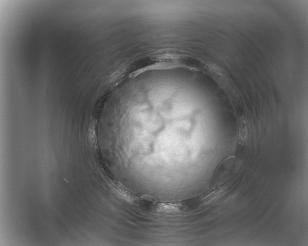 X0000058130573200510072008