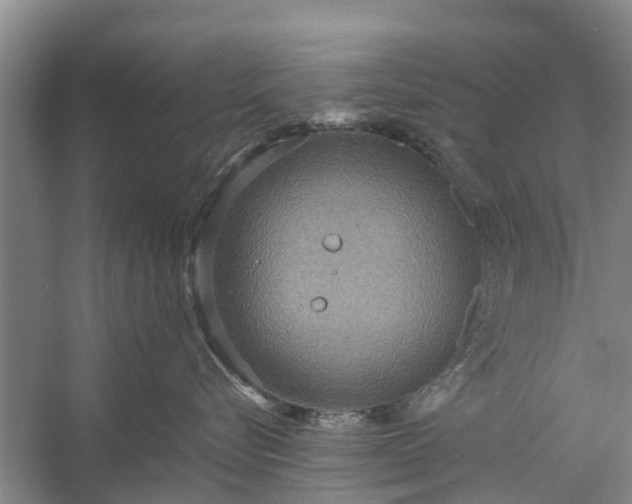 X0000058130576200510072008