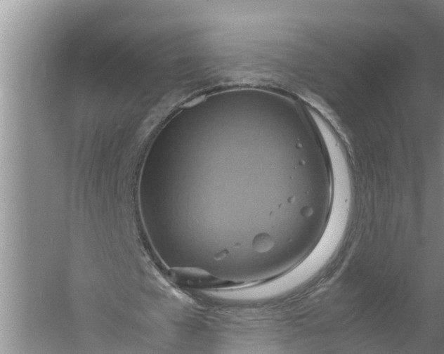 X0000058130577200510072007